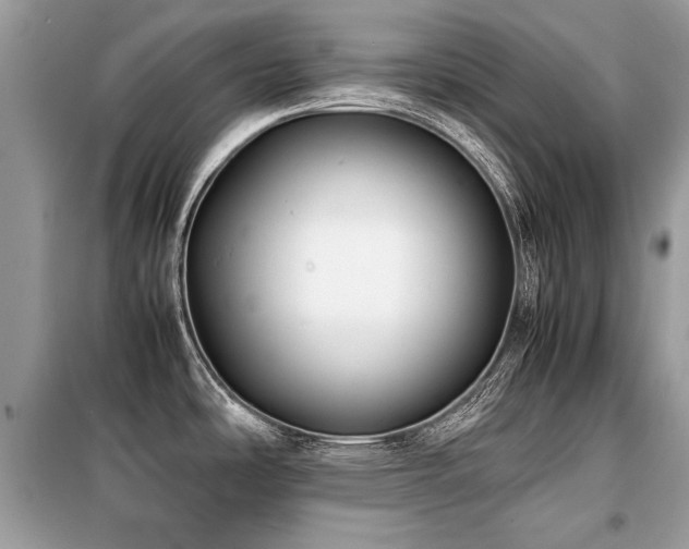 X0000099411486200805091207