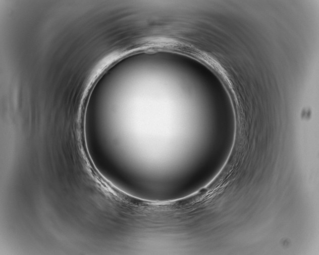 X0000099411488200805091207