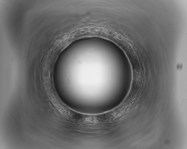 X0000099411489200805091206