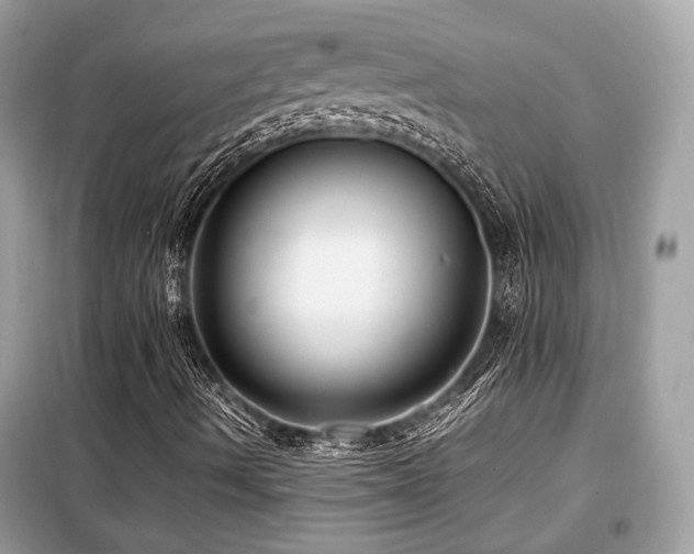 X0000099411490200805091206