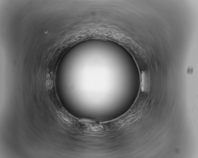 X0000099411491200805091206