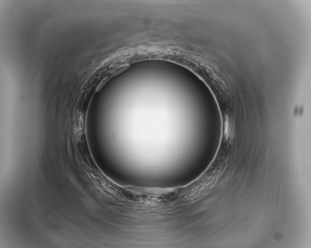 X0000099411492200805091206
