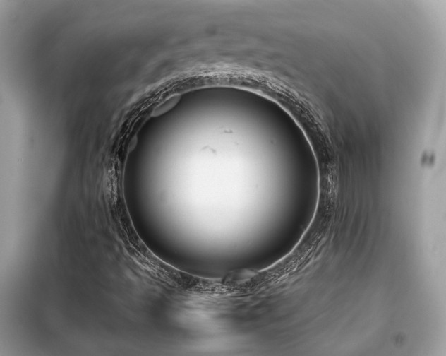 X0000099411493200805091206
