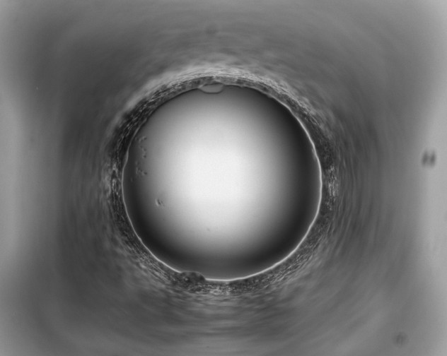 X0000099411495200805091206