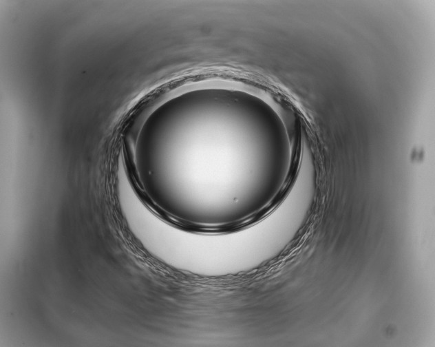 X0000099411496200805091206