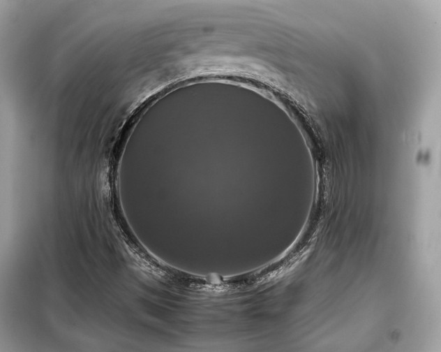 X0000099411497200805091206