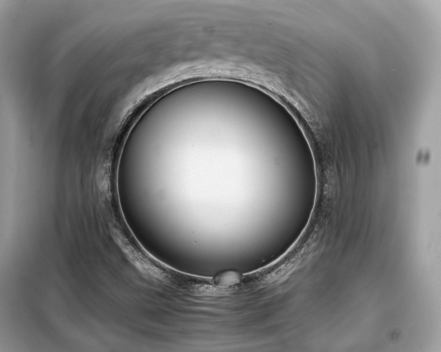 X0000099411499200805091206