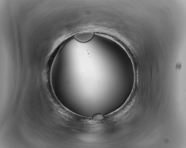 X0000099411501200805091206