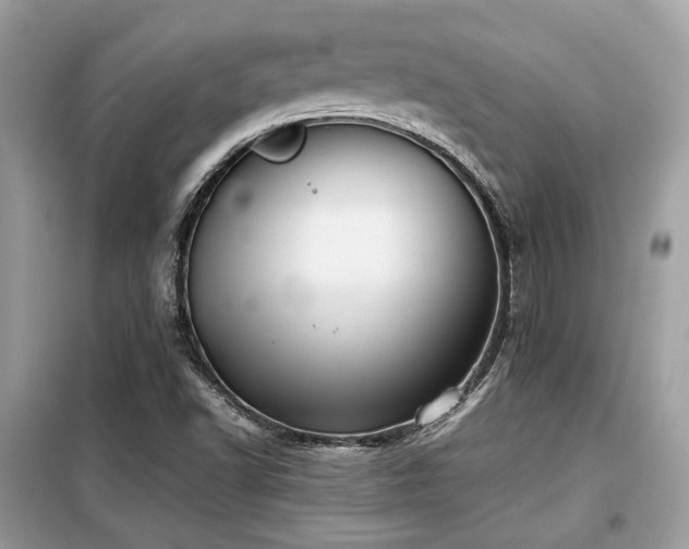X0000099411502200805091206
