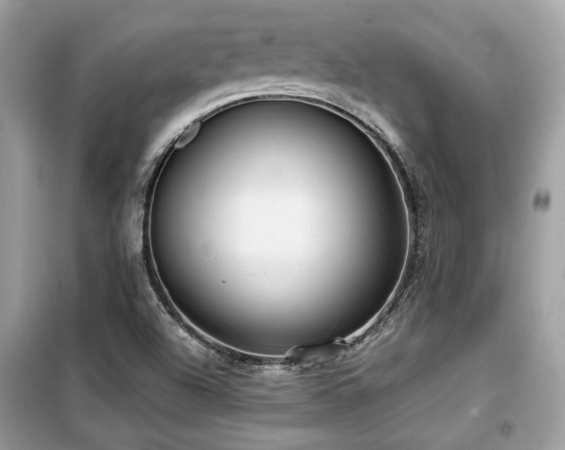 X0000099411504200805091206