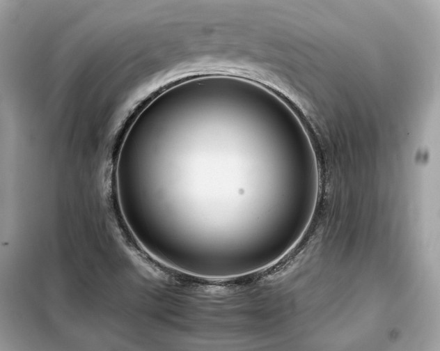 X0000099411507200805091207