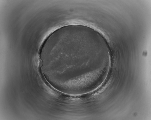 X0000099411509200805091207