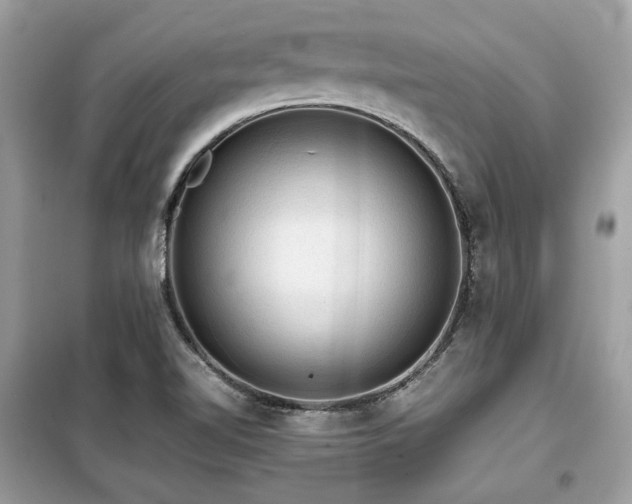 X0000099411510200805091207