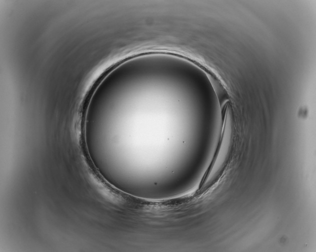 X0000099411511200805091207