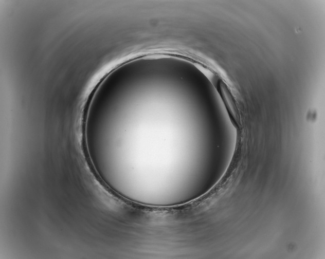 X0000099411512200805091207