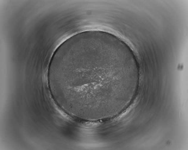 X0000099411513200805091207