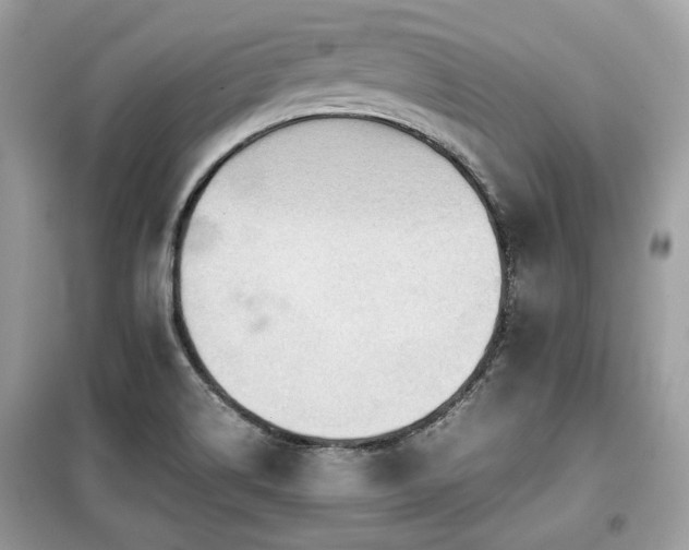 X0000099411514200805091207
