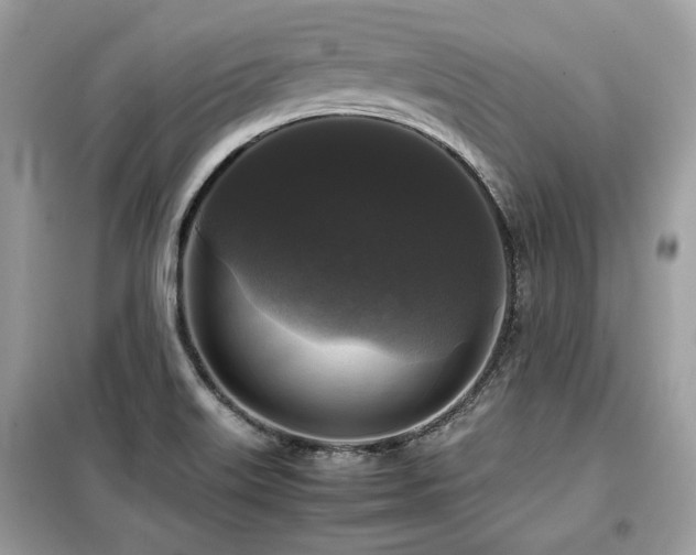 X0000099411515200805091207