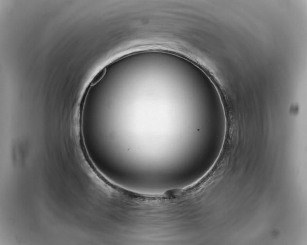 X0000099411516200805091207