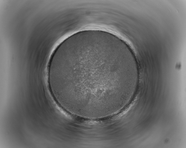 X0000099411517200805091207
