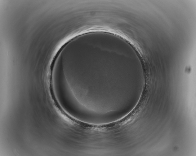 X0000099411519200805091207