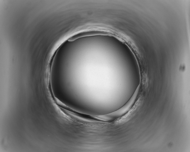 X0000099411520200805091207