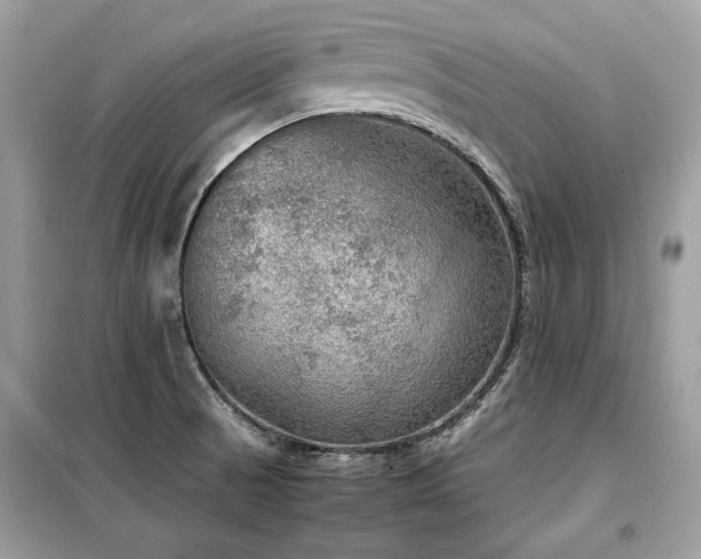 X0000099411521200805091207