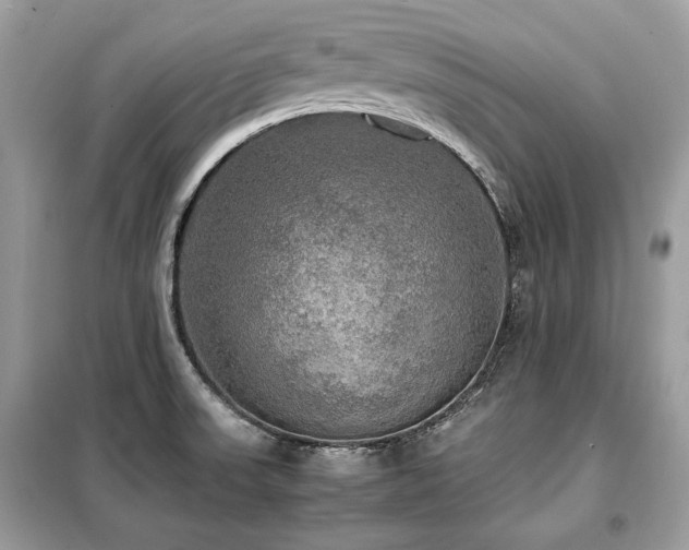 X0000099411523200805091207