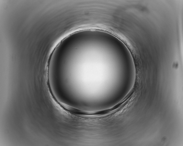 X0000099411524200805091207