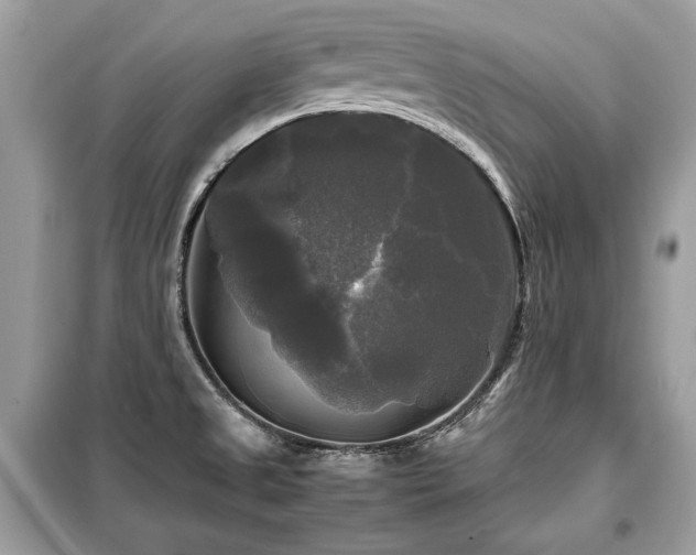 X0000099411525200805091207