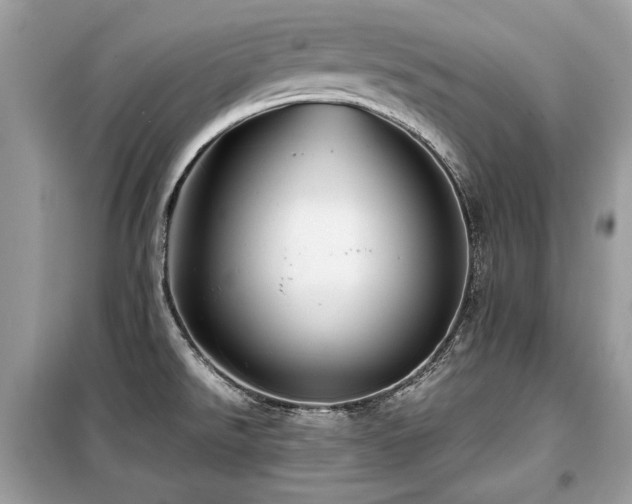 X0000099411526200805091207