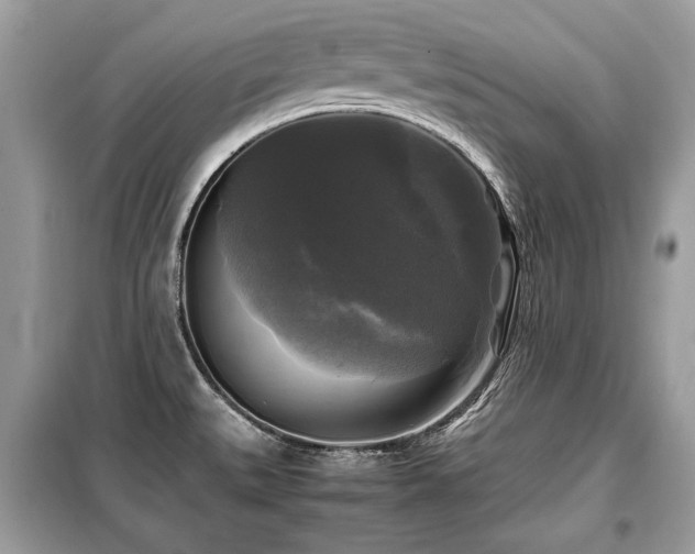 X0000099411527200805091207