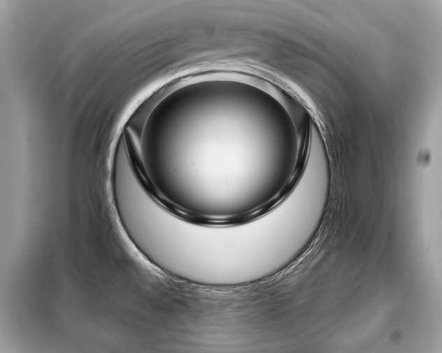 X0000099411528200805091207