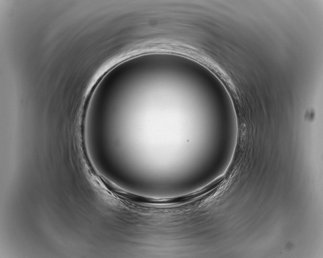 X0000099411530200805091207