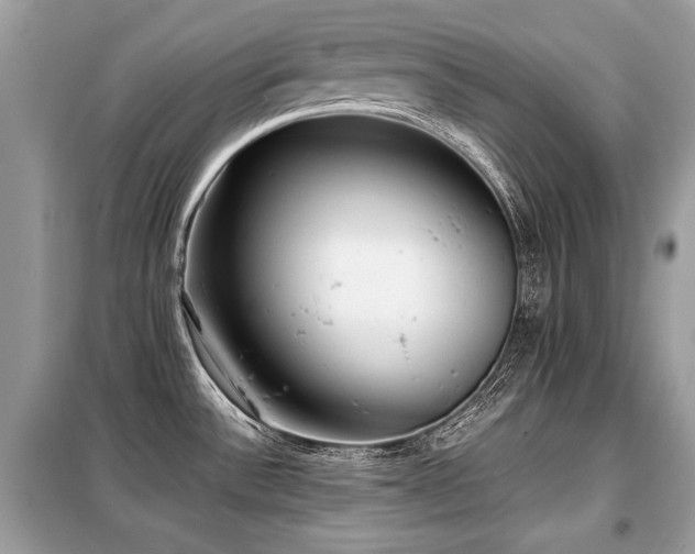 X0000099411532200805091207