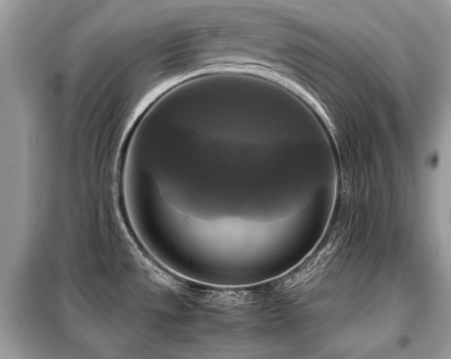 X0000099411533200805091207