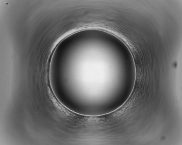 X0000099411534200805091207