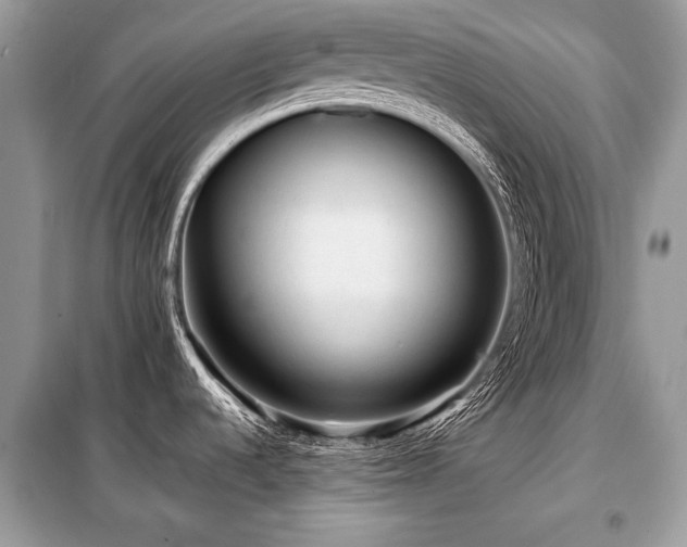 X0000099411536200805091207