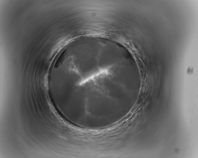 X0000099410002200805161033