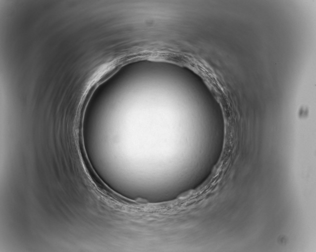 X0000099410003200805161033