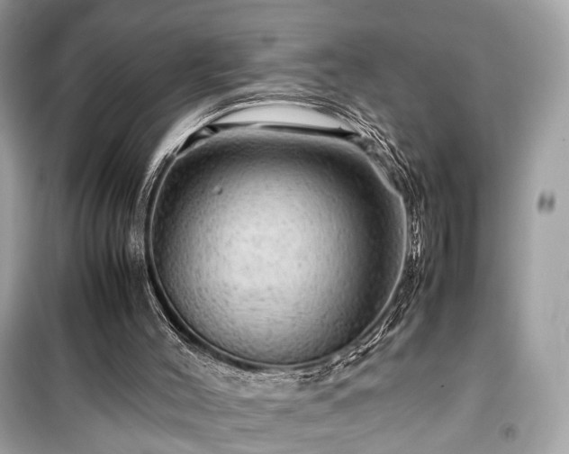 X0000099410004200805161033