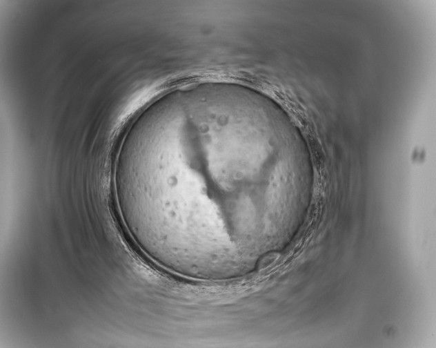 X0000099410005200805161033