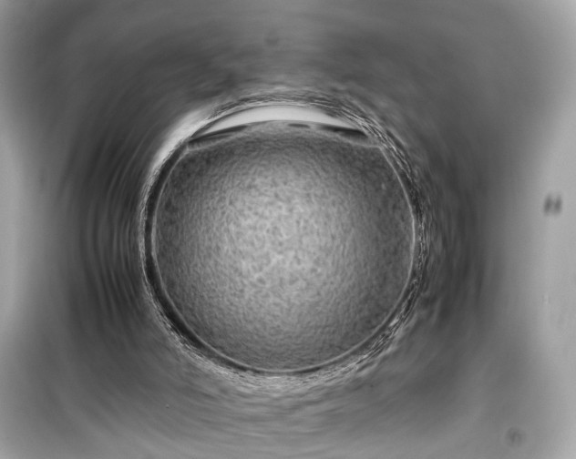 X0000099410006200805161033