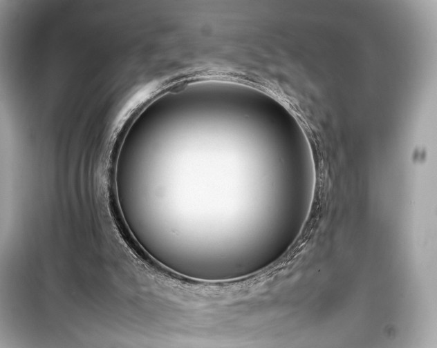 X0000099410007200805161033