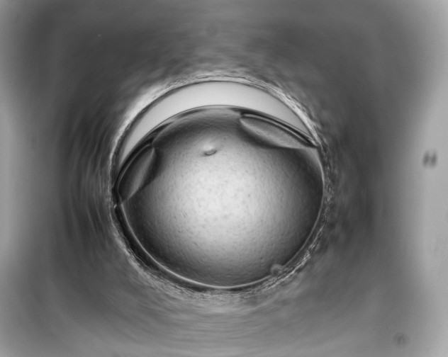 X0000099410008200805161033