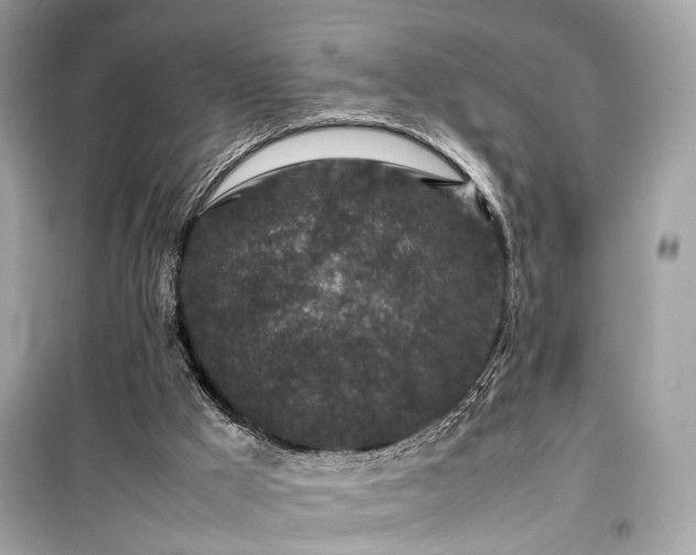 X0000099410009200805161033