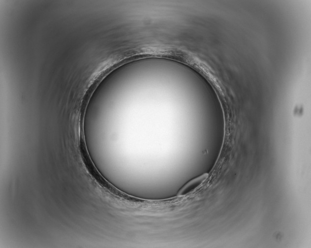 X0000099410011200805161033