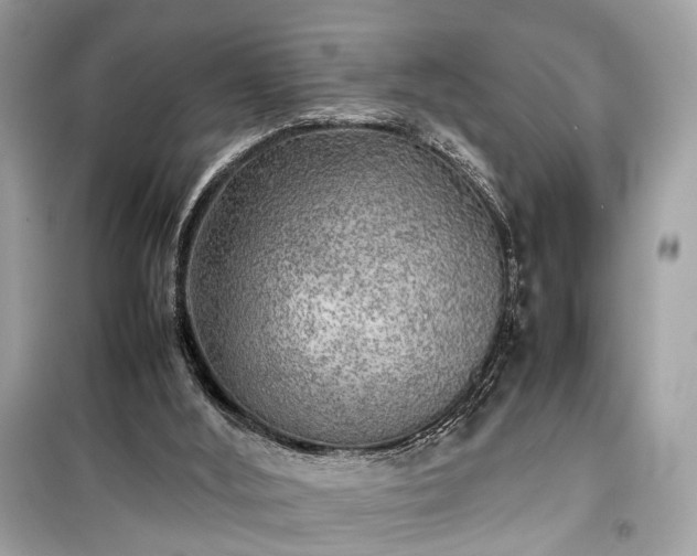 X0000099410012200805161033