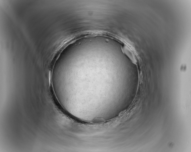 X0000099410013200805161033