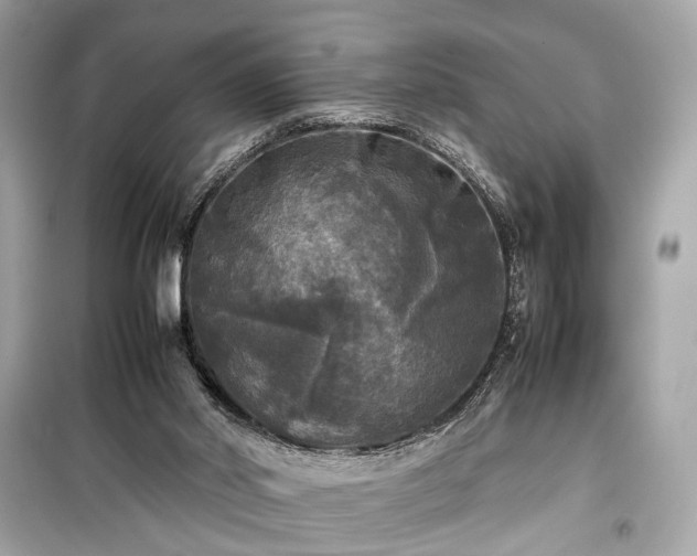 X0000099410014200805161033